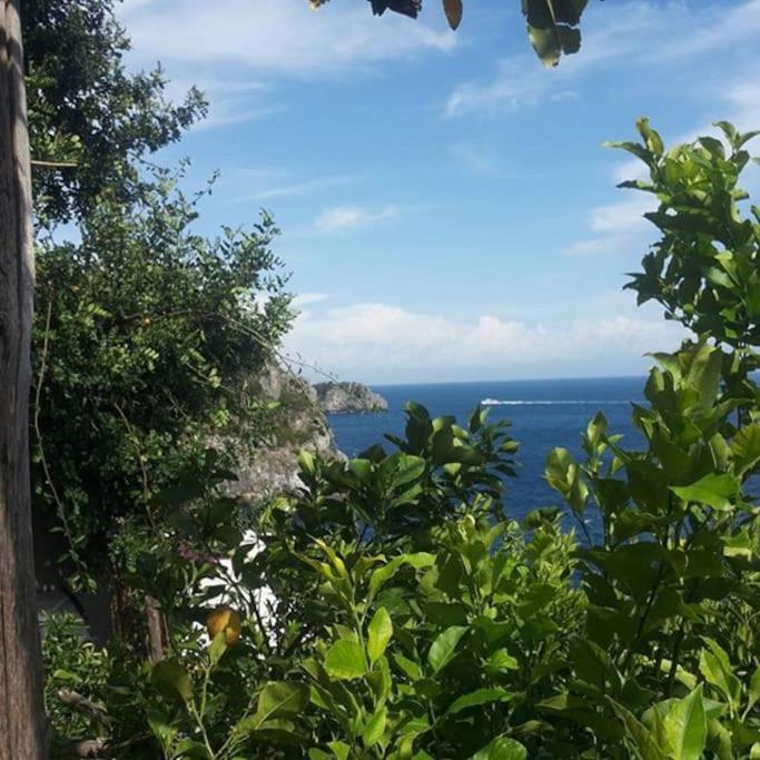 Villa Lena Conca dei Marini Ngoại thất bức ảnh